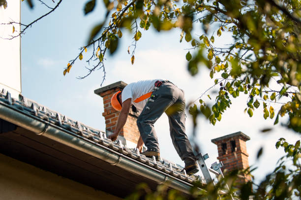 Roof Gutter Cleaning in Milton, FL